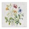 Stupell Industries Wild Botanical Bundle Canvas, design by Nicole DeCamp